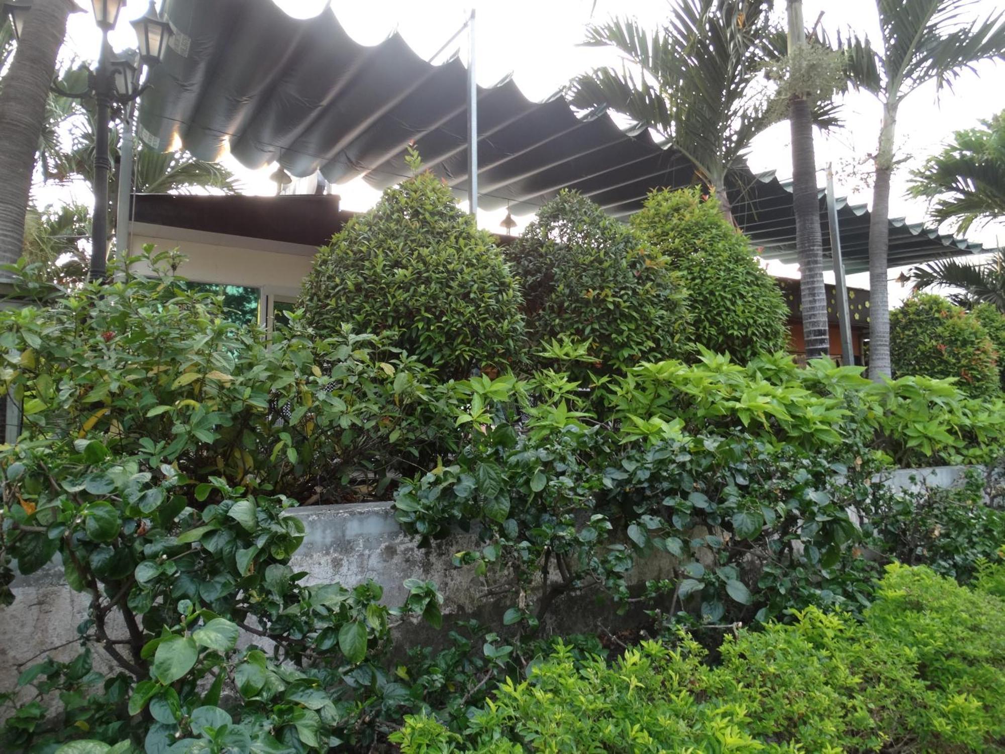 Hoai Pho Hotel Ho Chi Minh-byen Eksteriør bilde